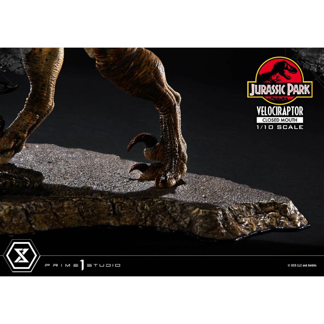 Jurassic Park (Film) Velociraptor Closed Mouth statue By Prime1 Studios -Prime 1 Studio - India - www.superherotoystore.com