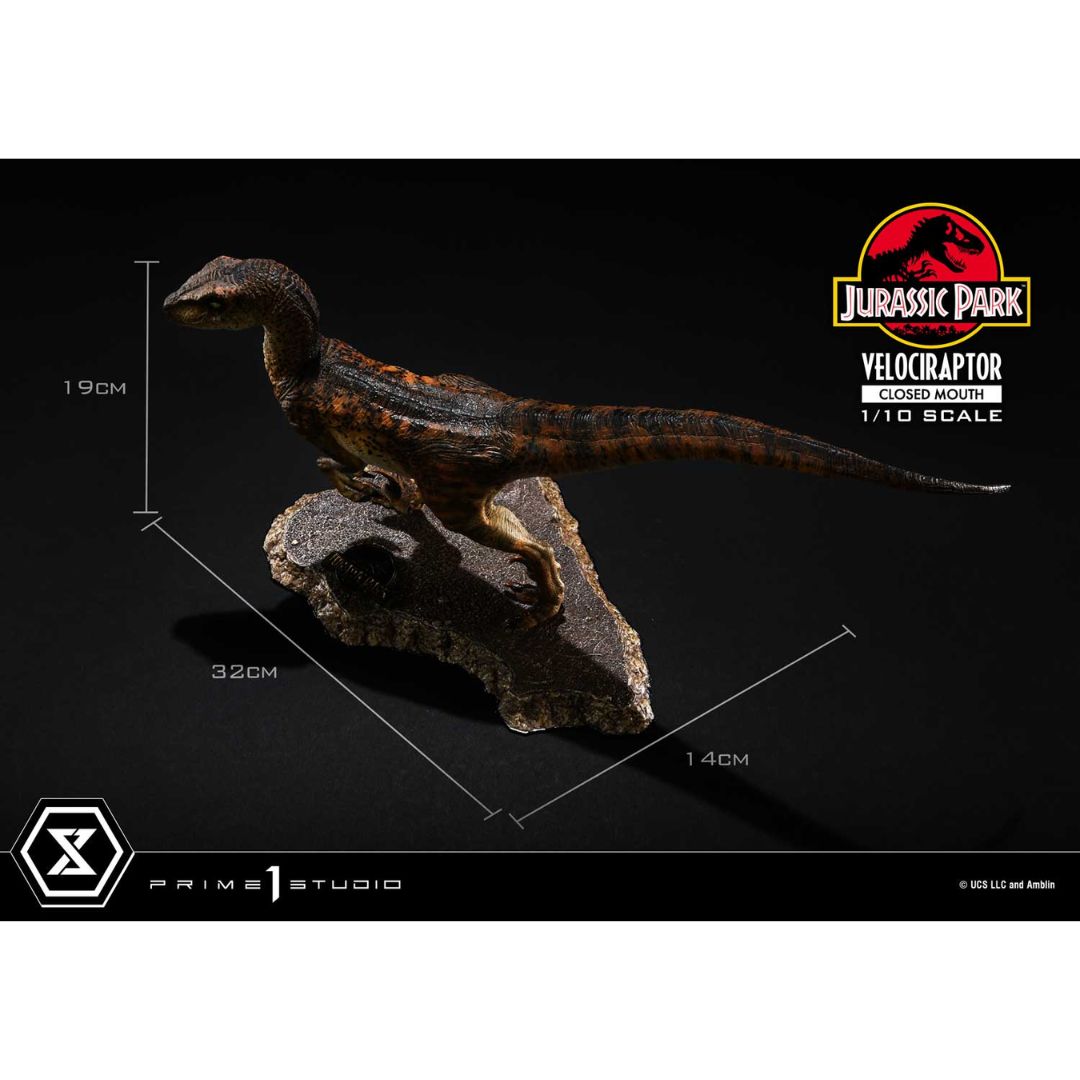 Jurassic Park (Film) Velociraptor Closed Mouth statue By Prime1 Studios -Prime 1 Studio - India - www.superherotoystore.com