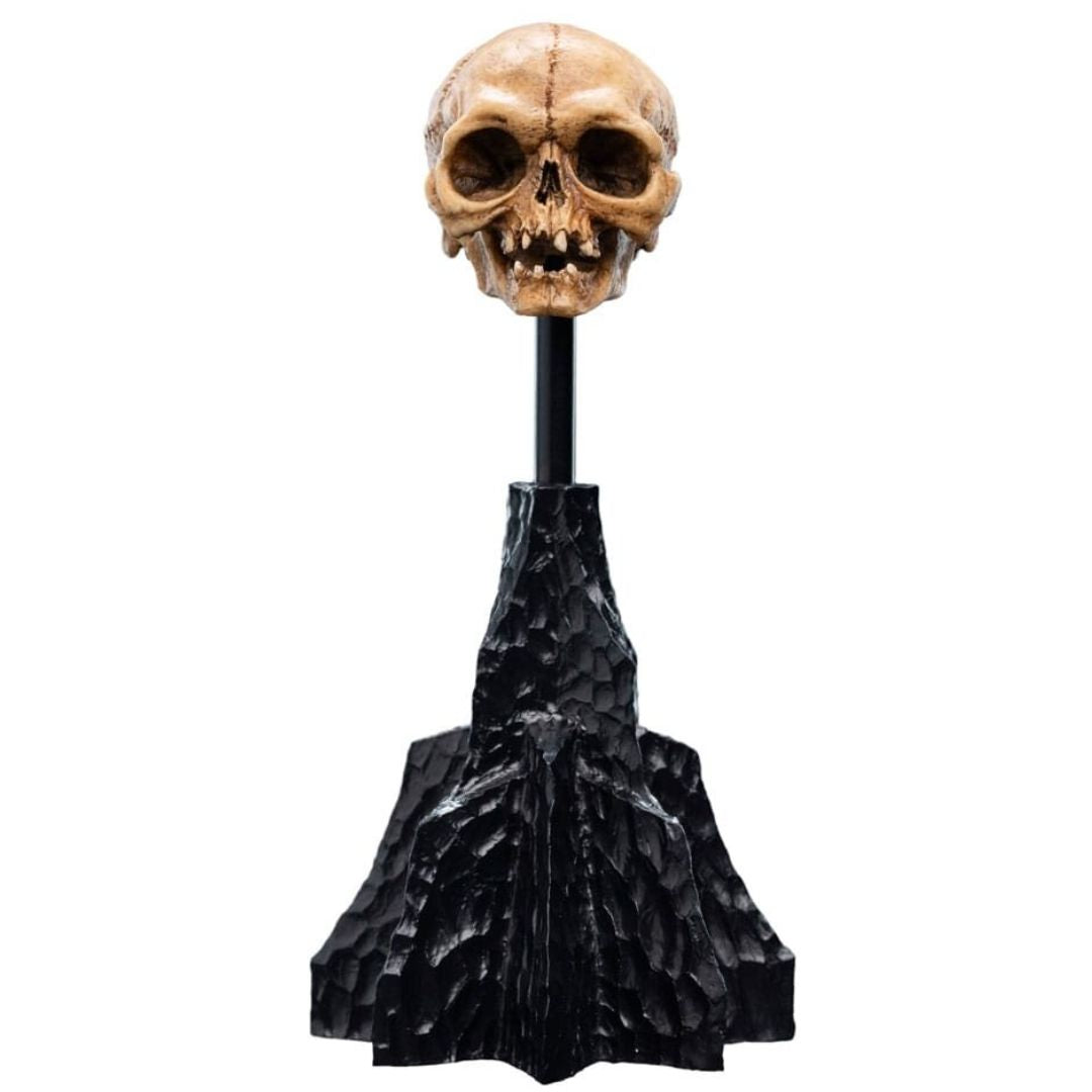 The Lord Of The Rings Skull Of Gollum Polystone Statue By Weta Workshop -Weta Workshop - India - www.superherotoystore.com