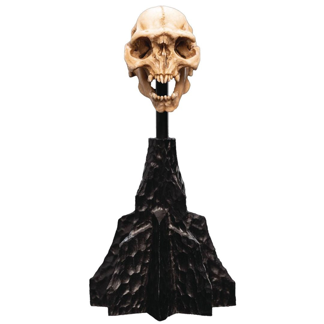 The Lord Of The Rings Skull Of A Moria Orc Polystone Statue By Weta Workshop -Weta Workshop - India - www.superherotoystore.com