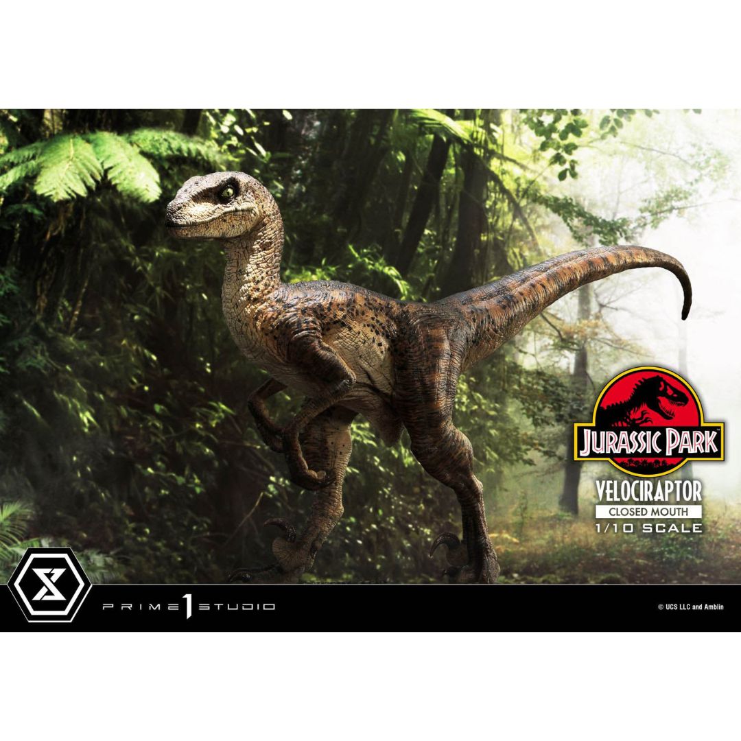 Jurassic Park (Film) Velociraptor Closed Mouth statue By Prime1 Studios -Prime 1 Studio - India - www.superherotoystore.com