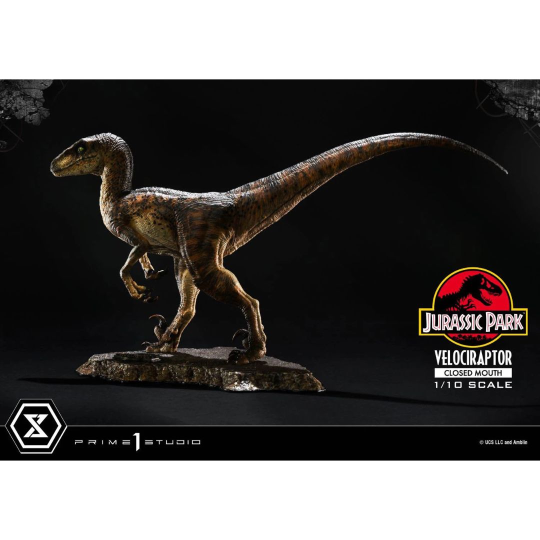 Jurassic Park (Film) Velociraptor Closed Mouth statue By Prime1 Studios -Prime 1 Studio - India - www.superherotoystore.com