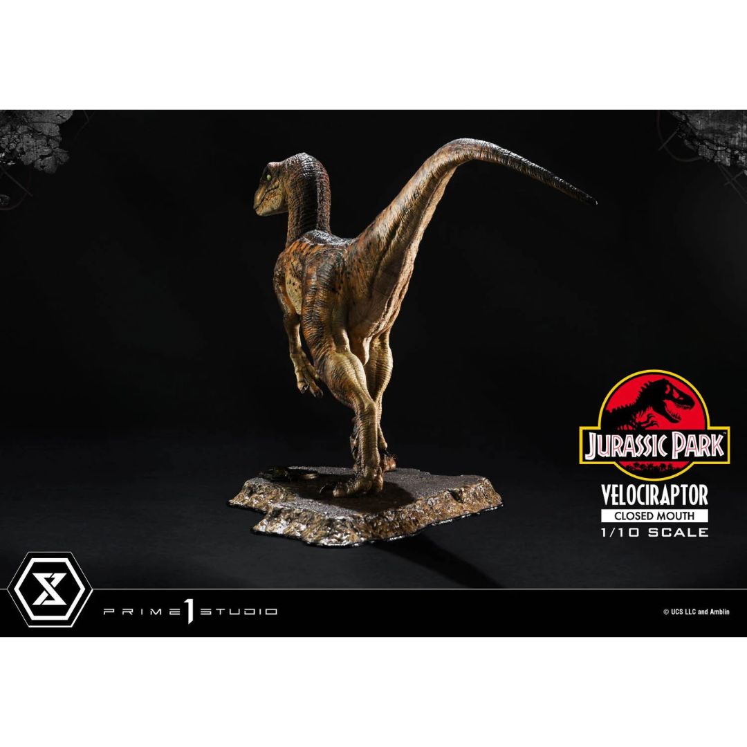 Jurassic Park (Film) Velociraptor Closed Mouth statue By Prime1 Studios -Prime 1 Studio - India - www.superherotoystore.com