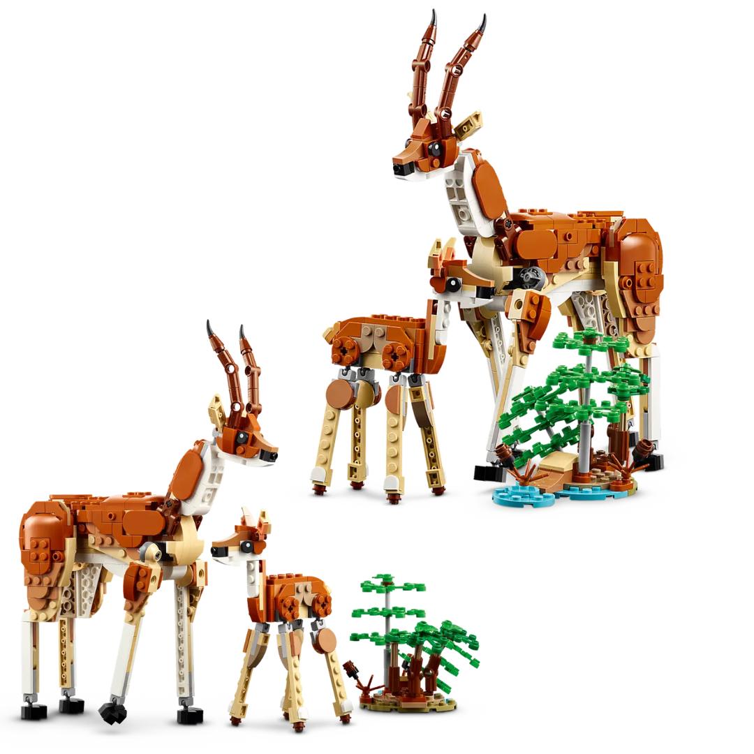 Lego Creator Wild Safari Animals -Lego - India - www.superherotoystore.com