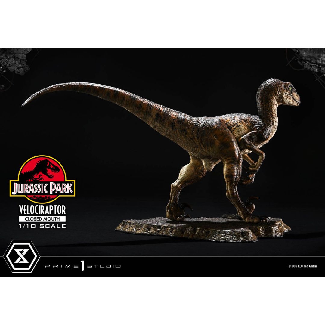 Jurassic Park (Film) Velociraptor Closed Mouth statue By Prime1 Studios -Prime 1 Studio - India - www.superherotoystore.com