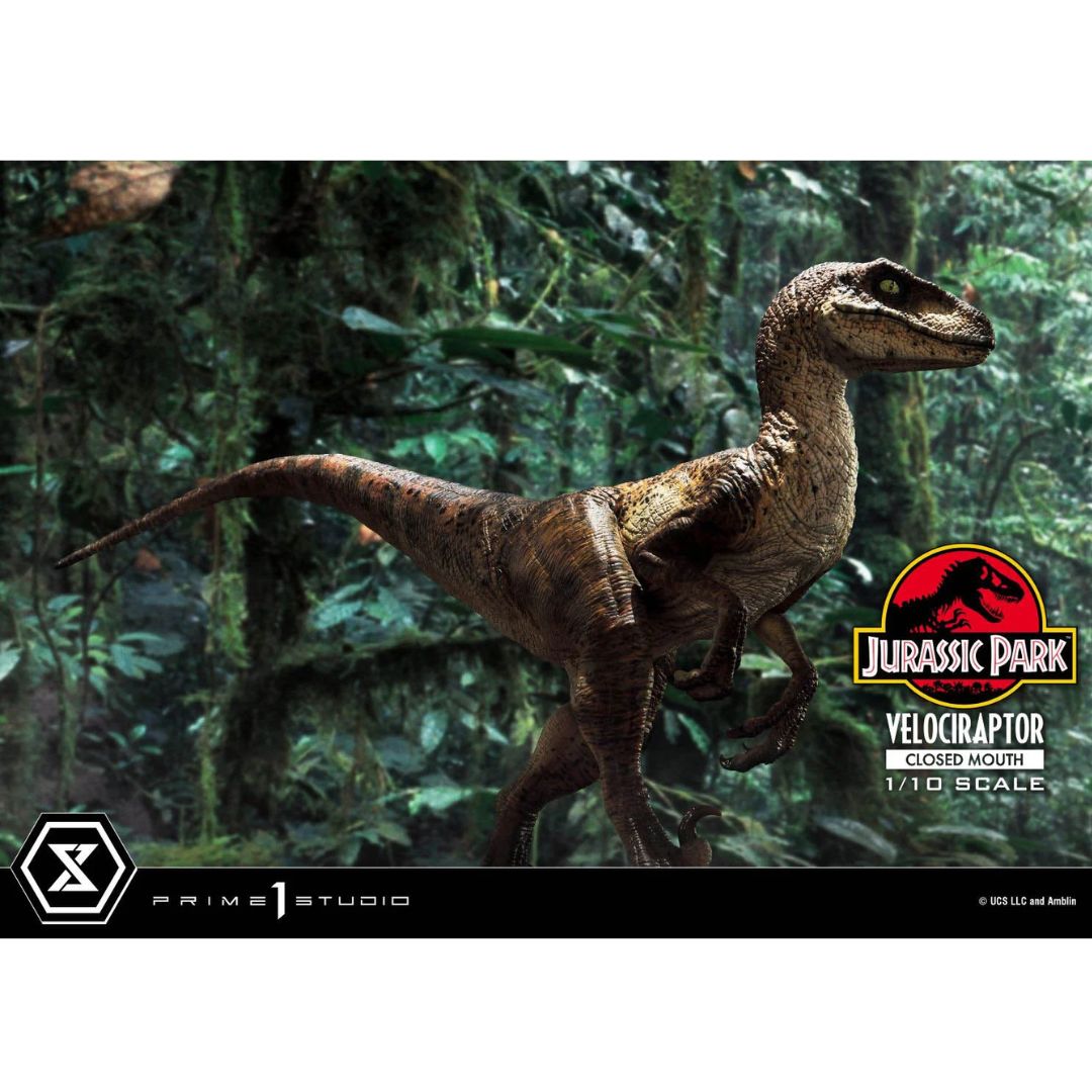 Jurassic Park (Film) Velociraptor Closed Mouth statue By Prime1 Studios -Prime 1 Studio - India - www.superherotoystore.com