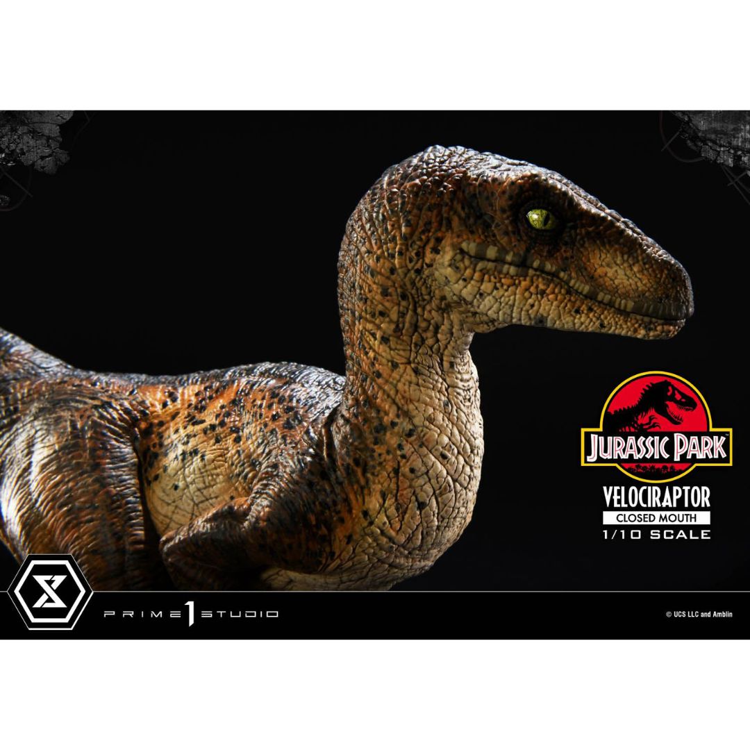 Jurassic Park (Film) Velociraptor Closed Mouth statue By Prime1 Studios -Prime 1 Studio - India - www.superherotoystore.com