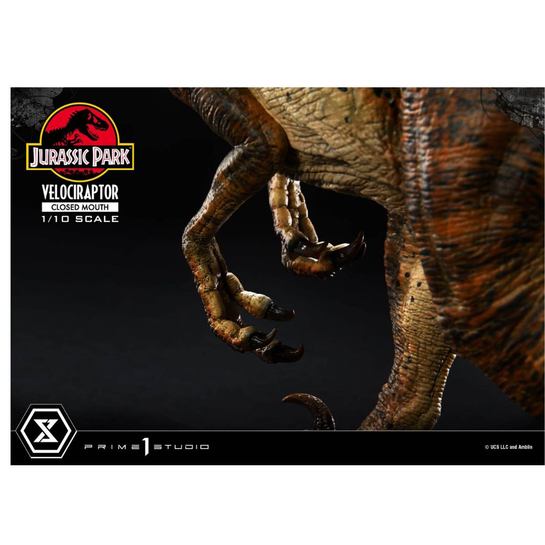 Jurassic Park (Film) Velociraptor Closed Mouth statue By Prime1 Studios -Prime 1 Studio - India - www.superherotoystore.com