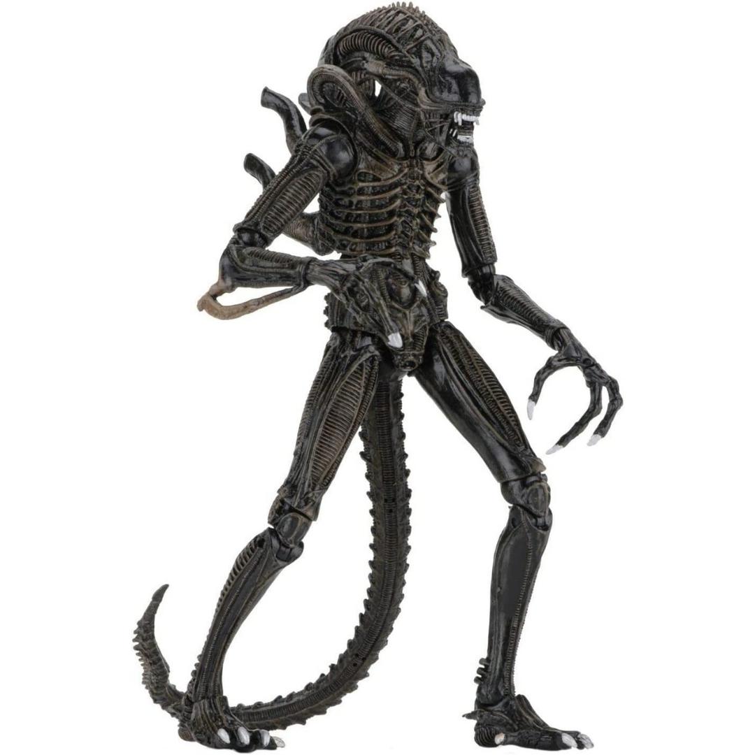 Ultimate Aliens Warriors (1986) Brown 7 Scale Action Figure by NECA -NECA - India - www.superherotoystore.com