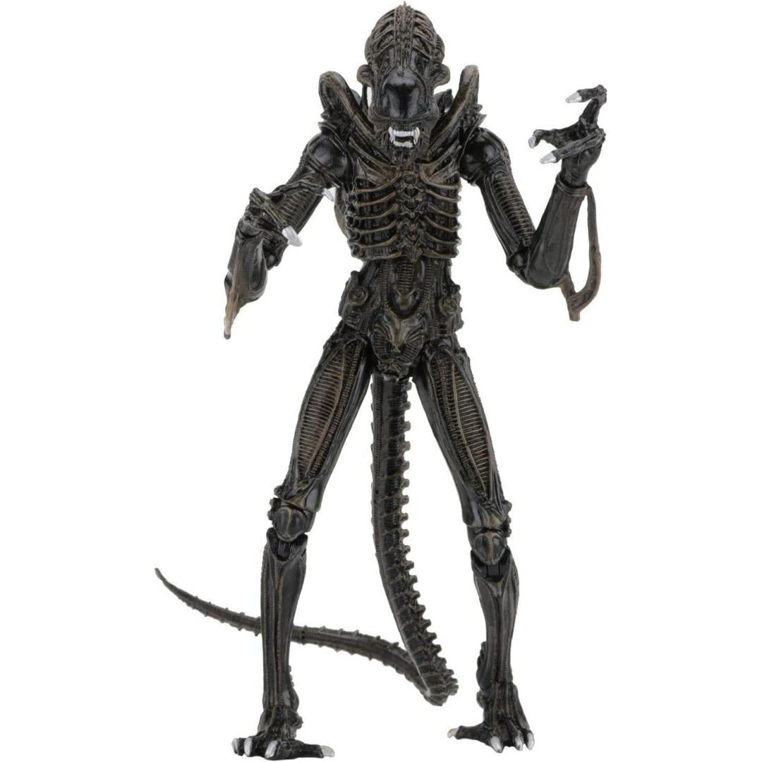 Ultimate Aliens Warriors (1986) Brown 7 Scale Action Figure by NECA -NECA - India - www.superherotoystore.com