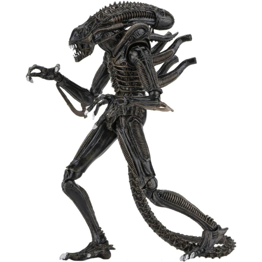 Ultimate Aliens Warriors (1986) Brown 7 Scale Action Figure by NECA -NECA - India - www.superherotoystore.com