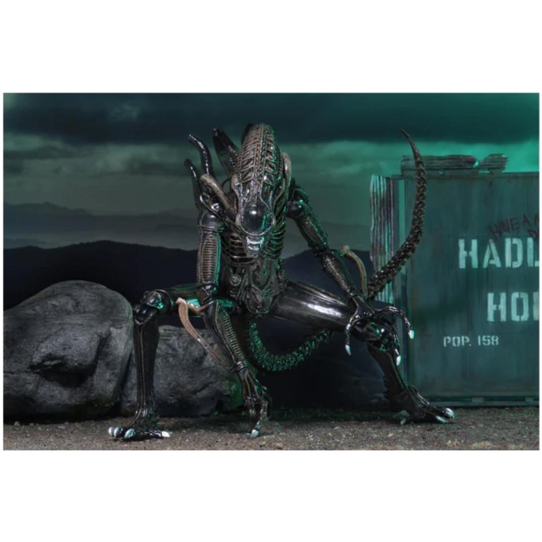 Ultimate Aliens Warriors (1986) Brown 7 Scale Action Figure by NECA -NECA - India - www.superherotoystore.com