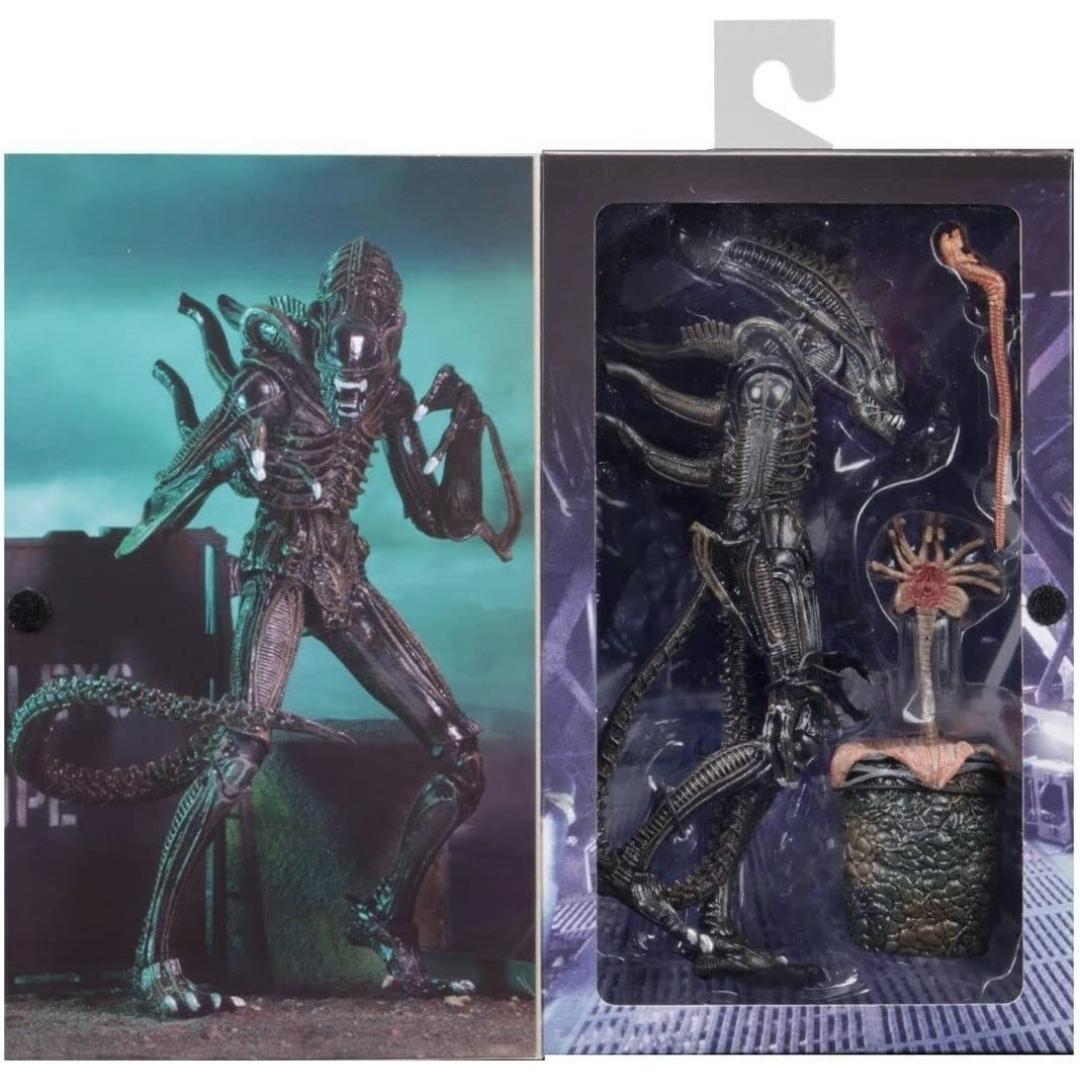 Ultimate Aliens Warriors (1986) Brown 7 Scale Action Figure by NECA -NECA - India - www.superherotoystore.com